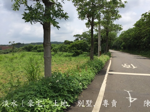 淡水地平方正農地【臨大馬路】 視意圖